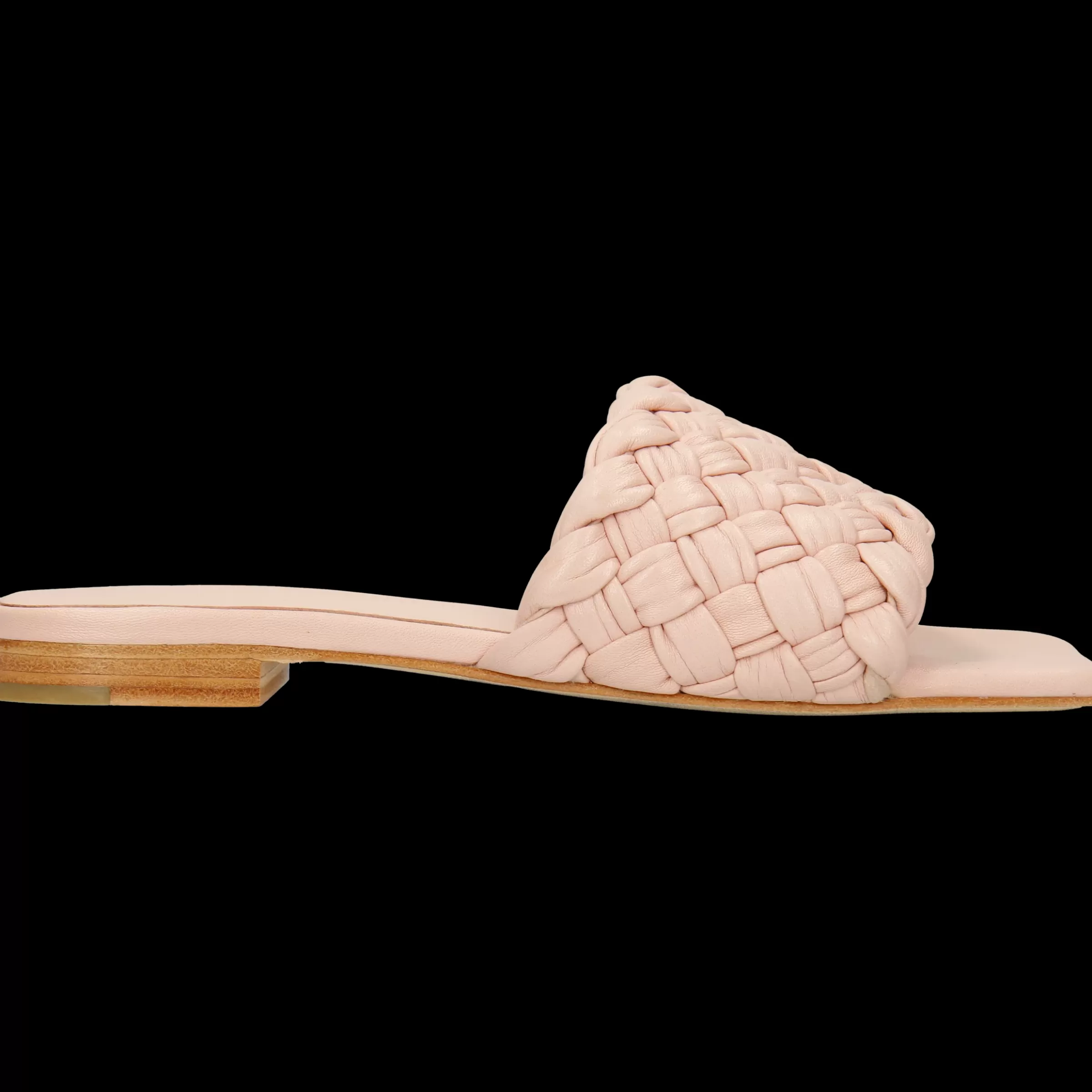 Melvin & Hamilton Muiltjes<Eglantine 1 Roze