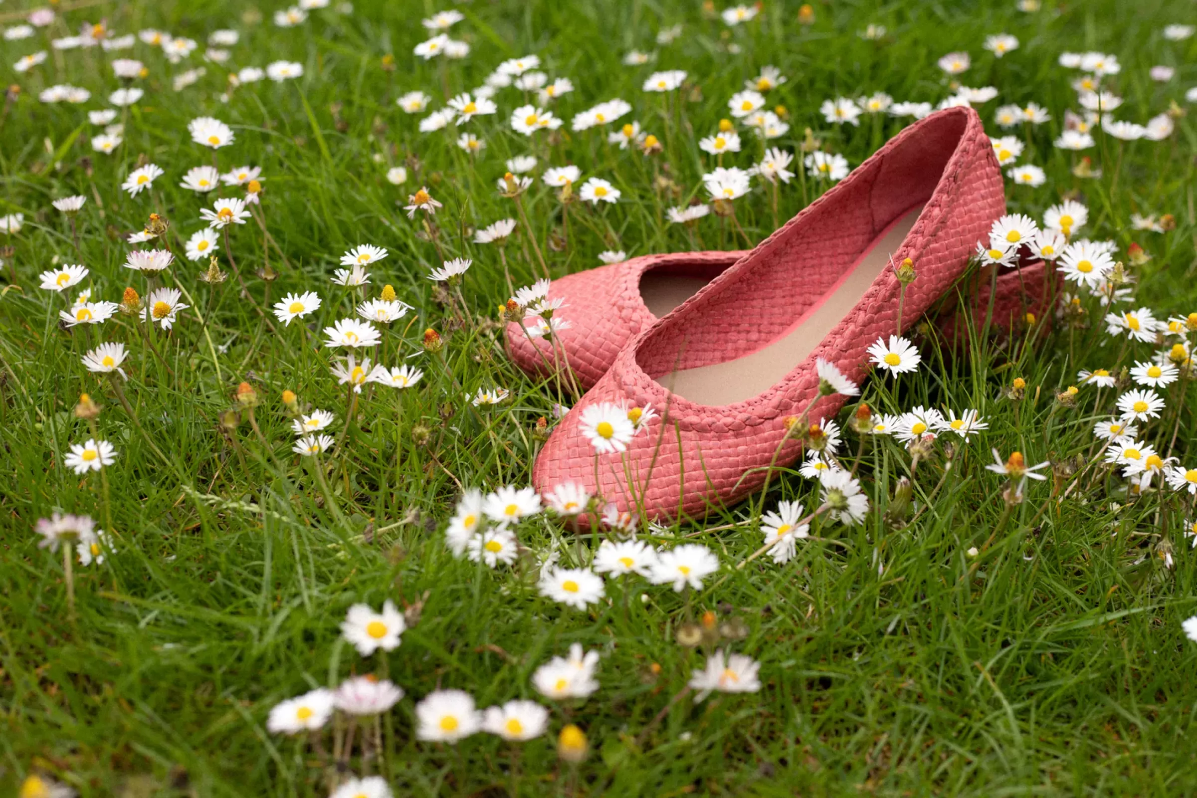 Melvin & Hamilton Ballerina's<Kate 5 Roze